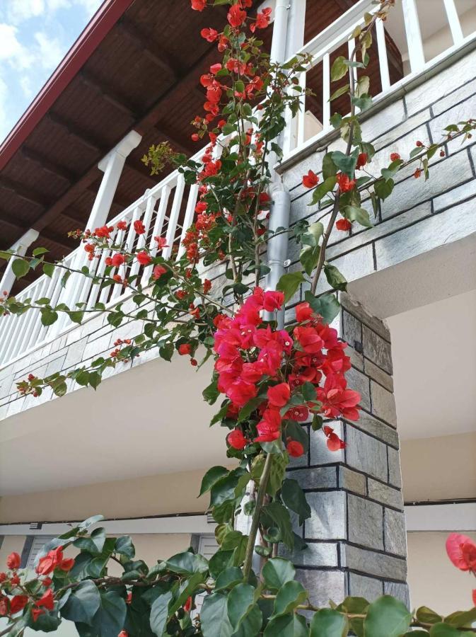 Bella Terra Nature Living アスプロヴァルタ エクステリア 写真